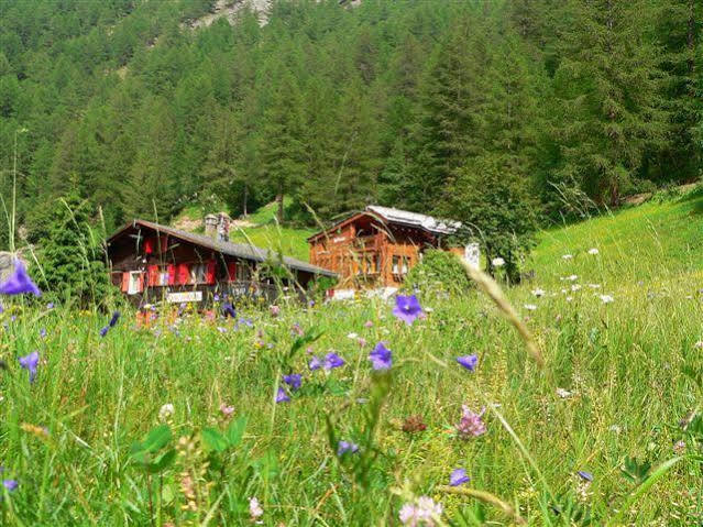 Haus Alpenperle Saas-Almagell Exterior foto